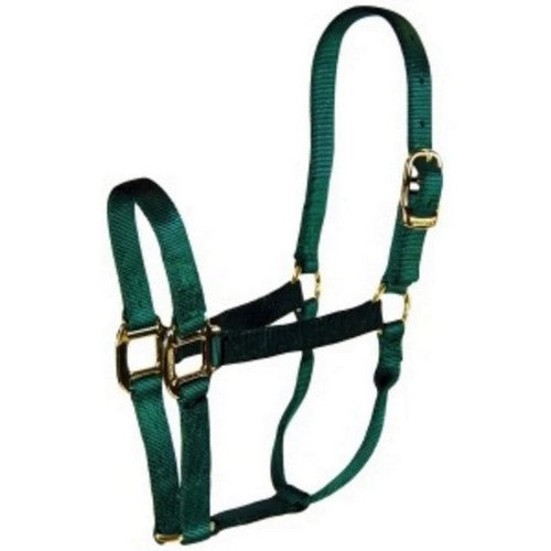Hamilton, Halter Horse Adjustable 3-5 Yearling Dark Green, 1 Each