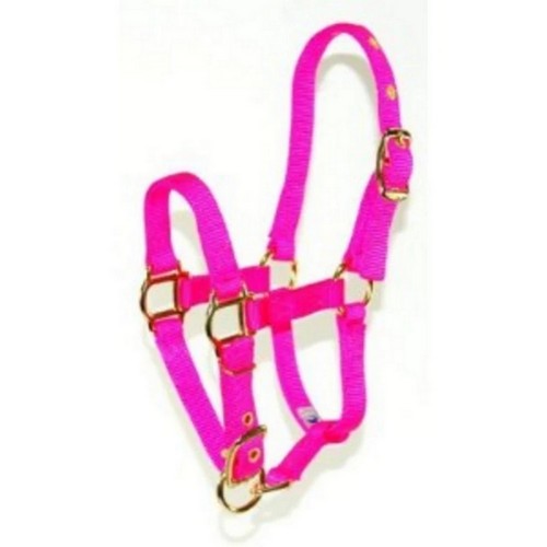 Hamilton, Halter Horse Adjustable Mini Average Hot Pink 3D, 1 Each