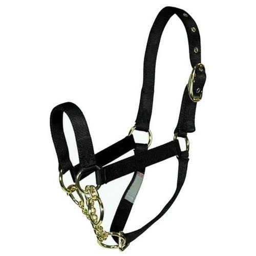 Hamilton, Halter Livest Control Yearling Black, 1 Each