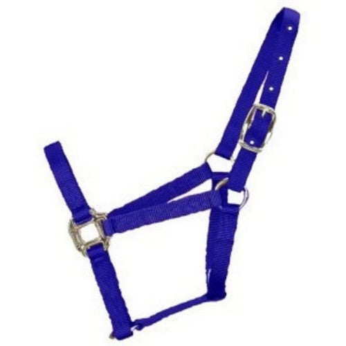 Hamilton, Halter Horse Adjustable Pony Blue, 1 Each