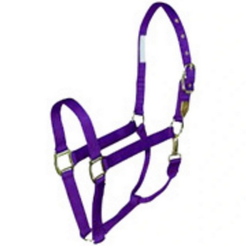 Halter Horse Qlty 8-11 Avg 1" Purple 1 Each by Hamilton