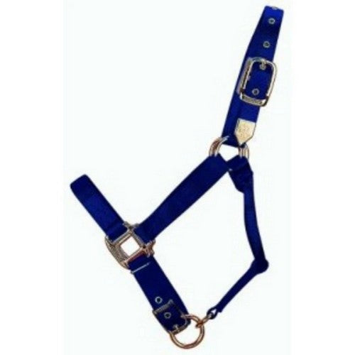 Halter Horse Qlty 8-11 Avg 1" Navy 1 Each by Hamilton
