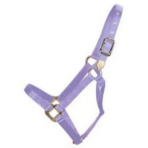 Halter Horse Qlty 8-11 Avg 1" Lavender 1 Each by Hamilton