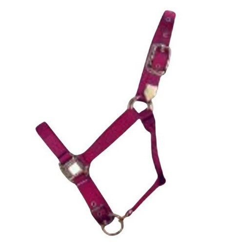 Halter Horse Qlty 8-11 Avg 1" Wine 1 Each by Hamilton