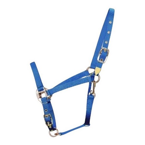 Halter Horse Qlty 8-11 Avg 1" Berry Blue 1 Each by Hamilton