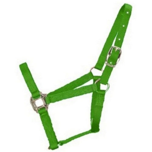 Halter Horse Qlty 8-11 Avg 1" Lime 1 Each by Hamilton