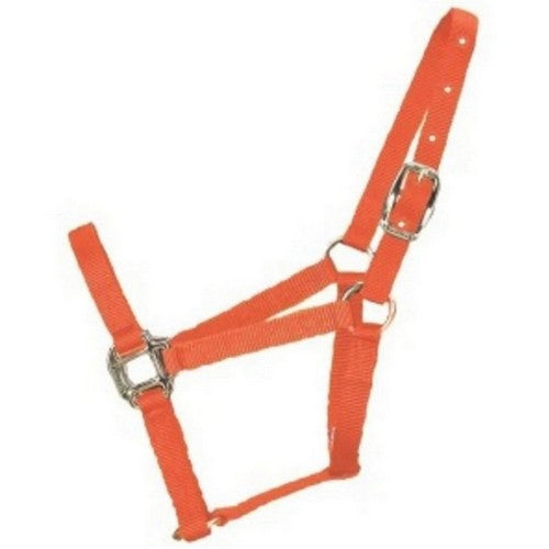 Halter Horse Qlty 8-11 Avg 1" Mango 1 Each by Hamilton