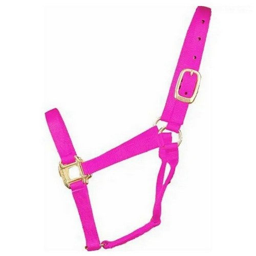 Halter Horse Qlty 11-16 Large 1" Lavender 1 Each by Hamilton