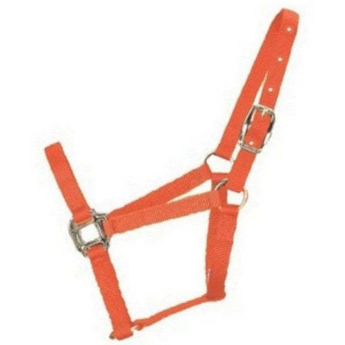 Halter Horse Qlty 11-16 Large 1" Mango 1 Each by Hamilton