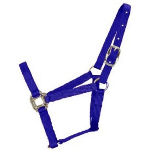 Halter Horse Qlty 5-8 Small 1" Blue 1 Each by Hamilton