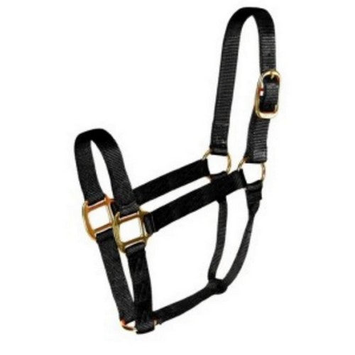 Halter Horse Qlty 5-8 Small 1" Black 1 Each by Hamilton