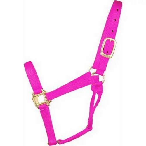 Halter Horse Qlty 5-8 Small 1" Purple 1 Each by Hamilton