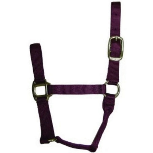 Halter Horse Qlty 5-8 Small 1" Wine 1 Each by Hamilton