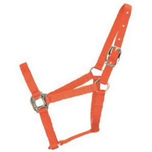 Halter Horse Qlty 5-8 Small 1" Mango 1 Each by Hamilton