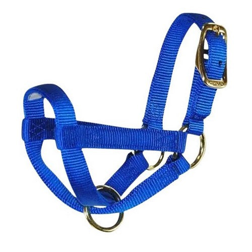 Halter Livest Goat 3/4" Nanny Blue 1 Each by Hamilton