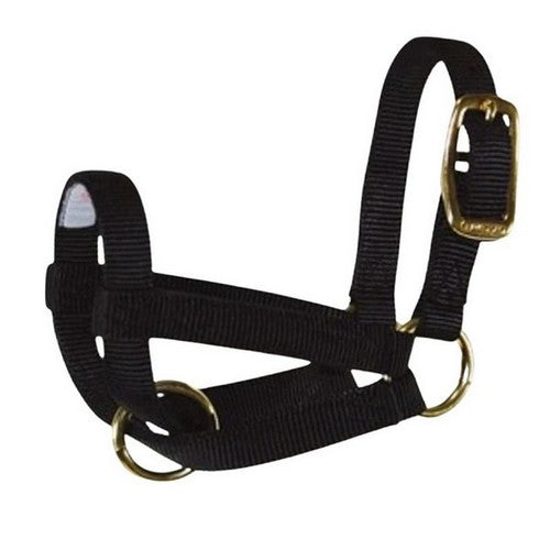 Halter Livest Goat 3/4" Nanny Black 1 Each by Hamilton