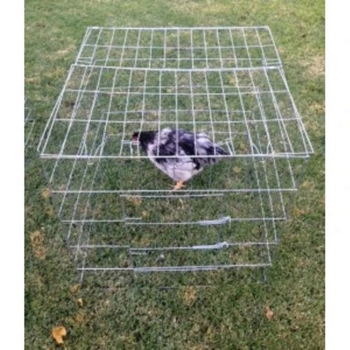 Asi Inc., Chicken Pen Breeder, Pack Of 5