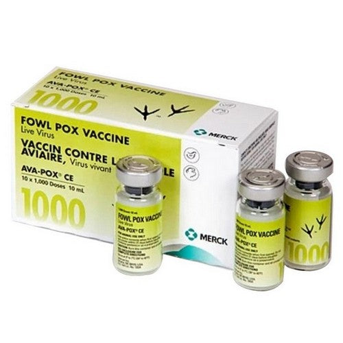 Merck Animal Health, VP Ava Pox Ce 1000Ds, 1 Count