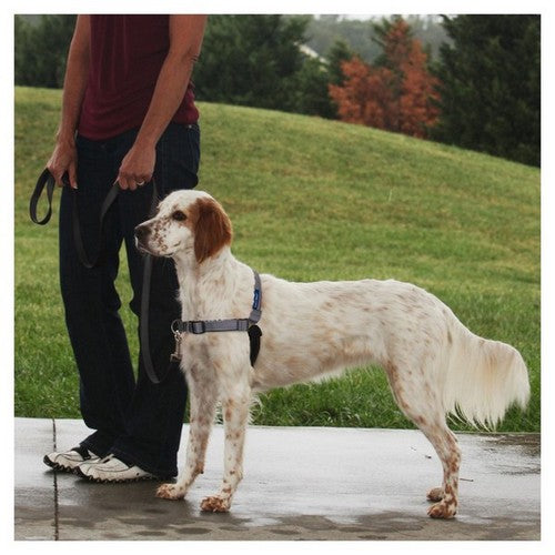 PetSafe, Deluxe Easy Walk Steel Dog Harness, 1 Each, Black / Steel (Medium)
