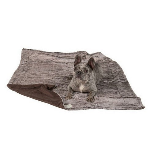 Dogs Gone Smart, Itchy Witchy Blanket, 1 Each, Chocolate Truffle (40 Inches X 50 Inches)