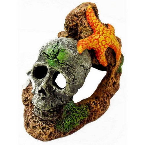 Blue Ribbon Pet Products, Exotic Environments Skull Aquarium Ornament with Starfish, 1 Each / 3 Inches, Multi-Color