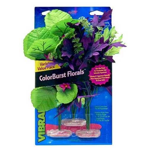 Blue Ribbon Pet Products, ColorBurst Florals Amazon Flowering Cluster Aquarium Plant, 1 Each / 3 Pack / Assorted