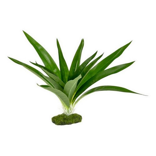 Blue Ribbon Pet Products, ColorBurst Florals Dracaena Deremensis Broad Leaf Aquarium Plant, 1 Each / 5.25 Inches / Green