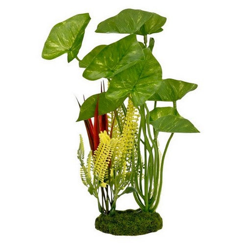 Blue Ribbon Pet Products, ColorBurst Florals Alocasia Variegated Cluster Aquarium Plant, 1 Each / 8 Inches / Green
