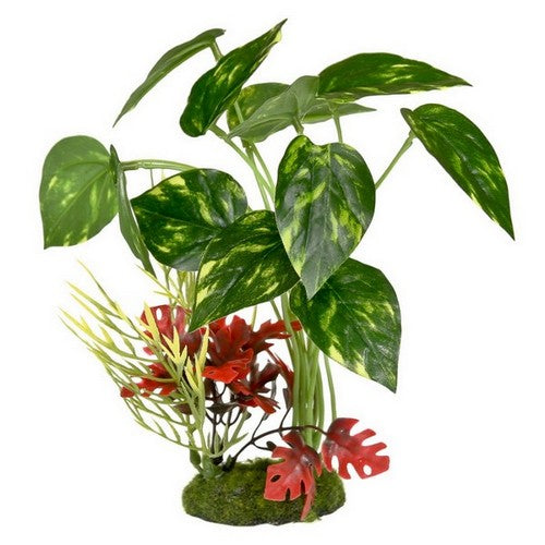 Blue Ribbon Pet Products, ColorBurst Florals Pothos Variegated Leaf Cluster Aquarium Plant, 1 Each / 8 Inches / Green, Red