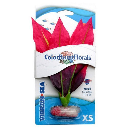 Blue Ribbon Pet Products, Blue Ribbon Pet Products Colorburst Florals Amazon Sword Aquarium Plant, Red,  1 Each / ExtraSmall