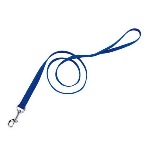 Coastal Pet, Coastal Single-Ply Nylon Dog Leash, Blue,  3/4 In X 4 Feet