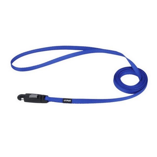 Lil Pals, Lil Pals Nylon Dog Leash with E-Z Snap, Blue,  3/8 In X 6 Feet