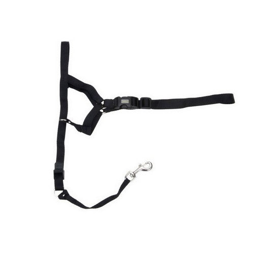 Walk 'n Train, Walk 'n Train Dog Head Halter, Black,  ExtraLarge