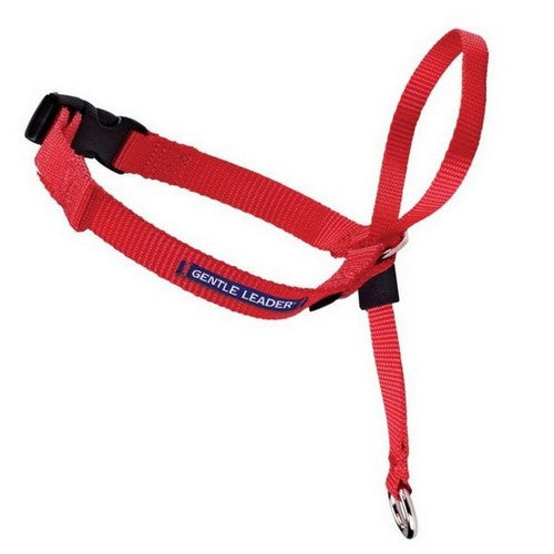 PetSafe, PetSafe Headcollar No-Pull Dog Collar, Red,  Large