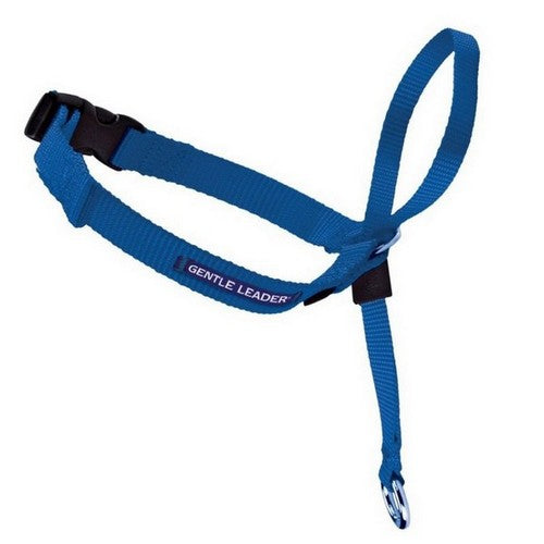 PetSafe, PetSafe Headcollar No-Pull Dog Collar, Royal Blue,  1 Each / Small