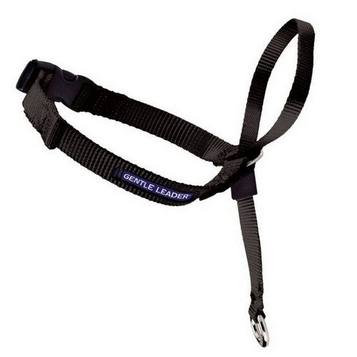 PetSafe, PetSafe Headcollar No-Pull Dog Collar, Black,  1 Each / Small