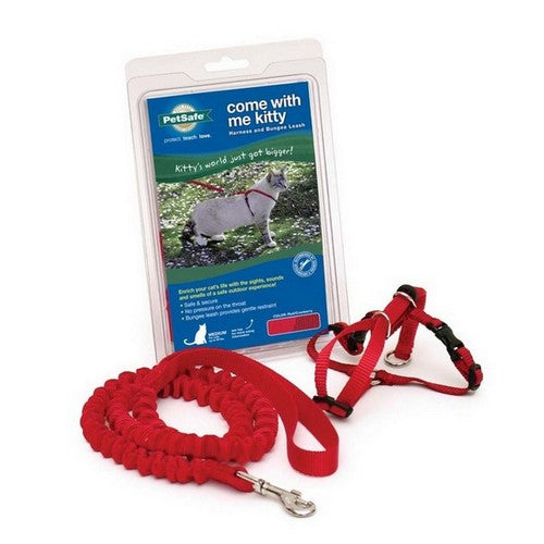 PetSafe, PetSafe Premier Come With Me Kitty Harness & Bungee Leash Combo, Red/Cranberry,  1 Each / Small