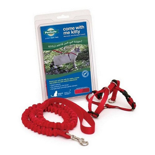 PetSafe, PetSafe Premier Come With Me Kitty Harness & Bungee Leash Combo, Red/Cranberry,  Medium