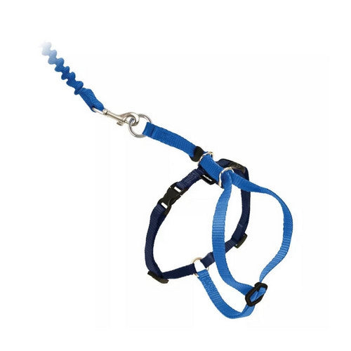 PetSafe, PetSafe Premier Come With Me Kitty Harness & Bungee Leash Combo, Royal Blue/Navy,  Medium
