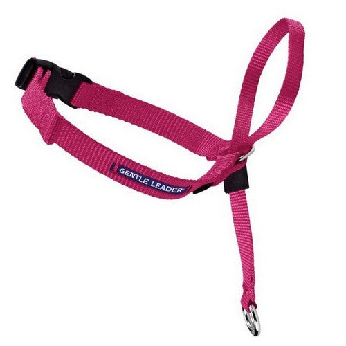 PetSafe, PetSafe Headcollar No-Pull Dog Collar, Raspberry,  Medium