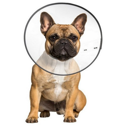 ZenPet E-Clear Plastic Recovery Collar 1 Each / Medium by ZenPet