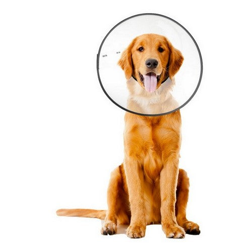 ZenPet, ZenPet E-Clear Plastic Recovery Collar, 1 Each / Large
