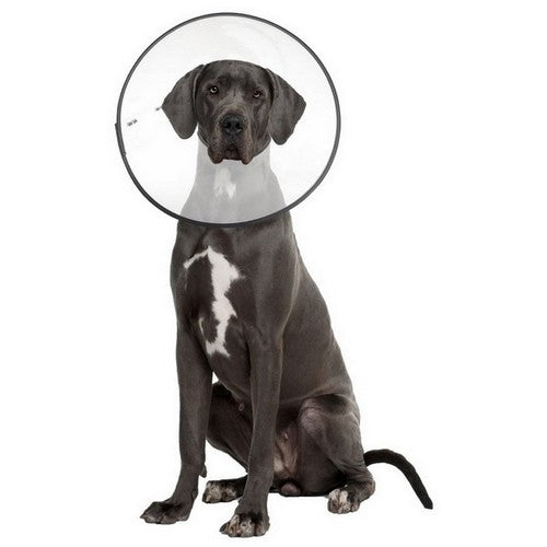 ZenPet, ZenPet E-Clear Plastic Recovery Collar, 1 Each / 2 ExtraLarge