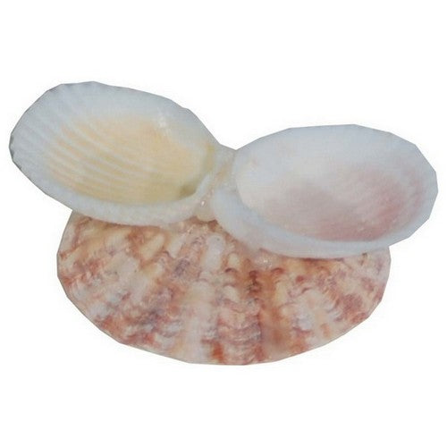 Florida Marine Research, Florida Marine Research Shellfeeder Stand, 1 Each / White, Brown