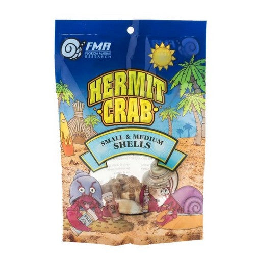 Florida Marine Research Natural Shell Terrarium Ornament Multi-Color,  3 Pack, Medium by Florida Marine Research