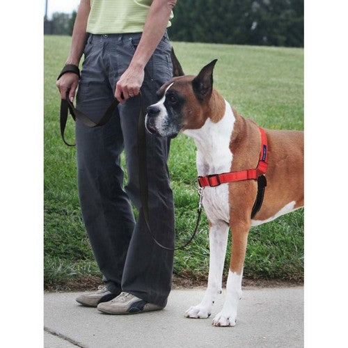 PetSafe, PetSafe Deluxe Easy Walk Steel Dog Harness, Black/Rose,  Large