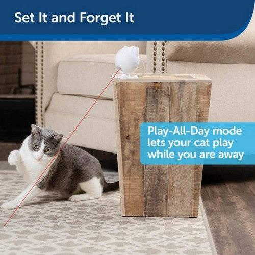 PetSafe, PetSafe Dancing Dot Laser Cat Toy, 1 Each