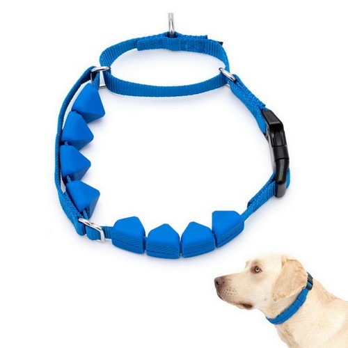 PetSafe, PetSafe Soft Point Training Collar, Large