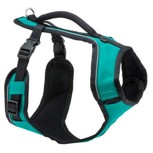 EasySport, EasySport Comfortable Dog Harness, Teal,  1 Each / Small