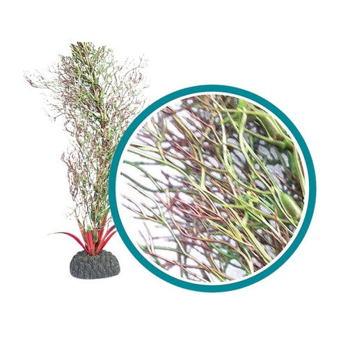 Weco, Weco Products Marine Pro Series Fine Branch Kelp Aquarium Plant, Green,  6 Inches